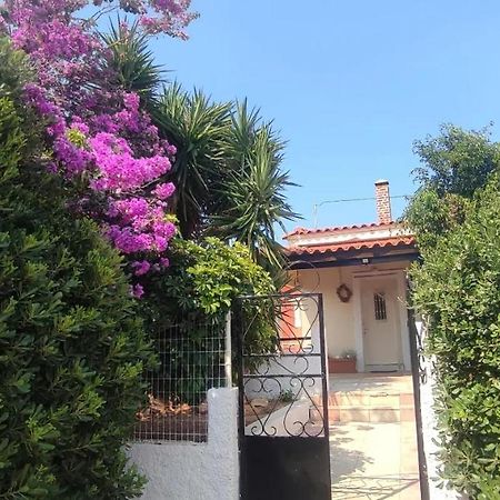 Olive Grove Cottage Skalani Knosos Exterior photo