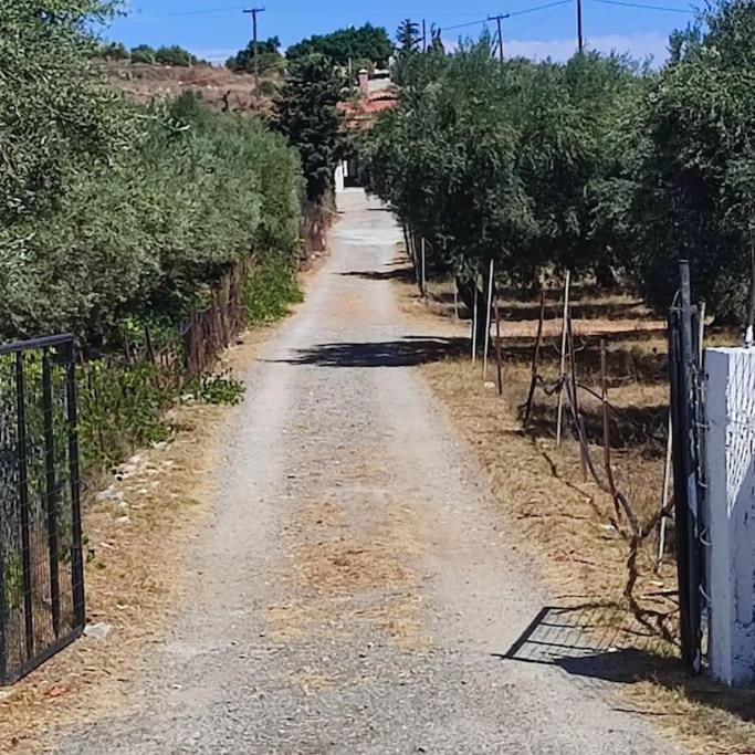 Olive Grove Cottage Skalani Knosos Exterior photo